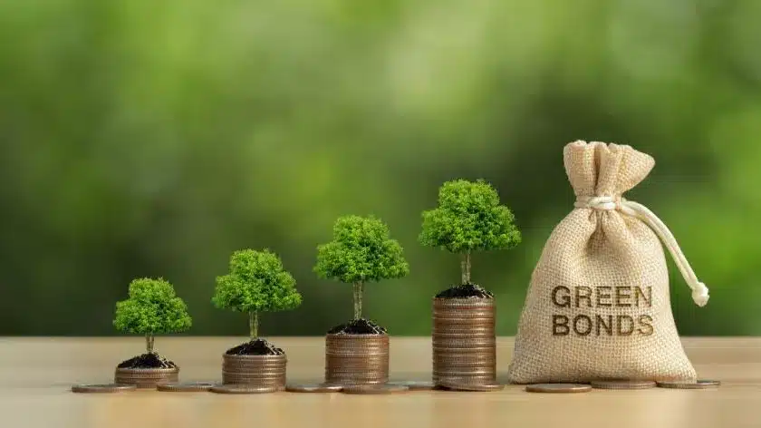 Crédit Personnel Écologique : Financer Ses Projets Verts à Conditions Préférentielles